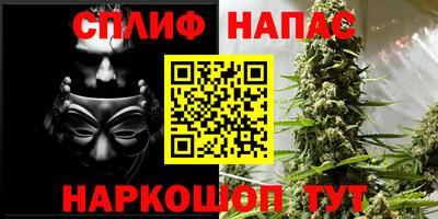 mdpv Владикавказ