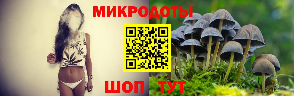 Галлюциногенные грибы Cubensis Новочеркасск