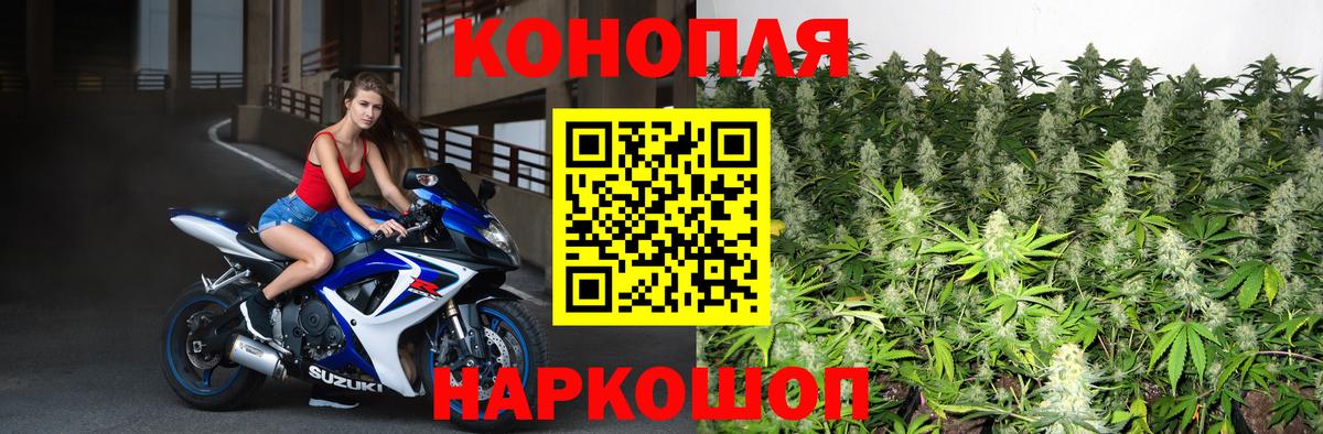 Шишки марихуана план  Вход с VPN  Новочеркасск  Конопля SATIVA & INDICA  Бошки Шишки сатива 